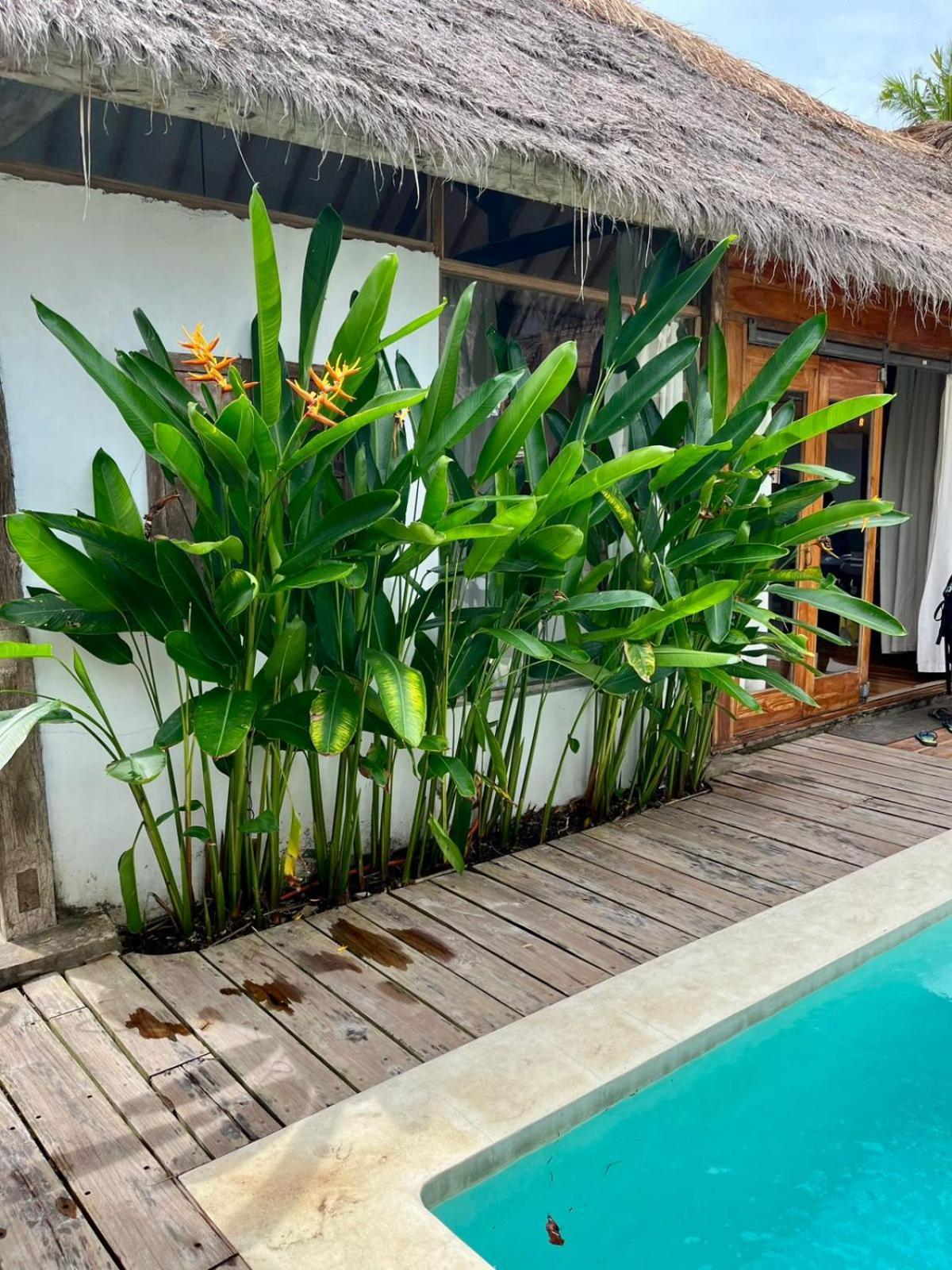 Musa Bintang Villas And Bungalows Gili Air Buitenkant foto